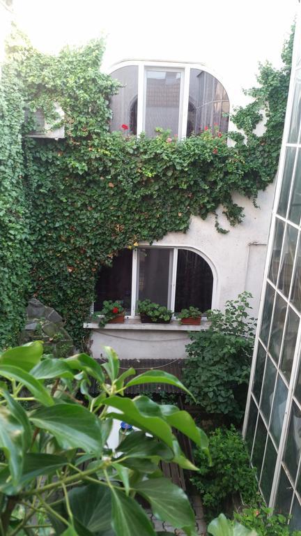 Bed and Breakfast Vila Monica à Târgu-Mureş Extérieur photo