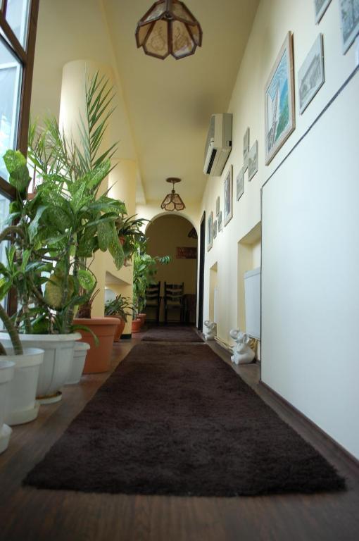 Bed and Breakfast Vila Monica à Târgu-Mureş Extérieur photo