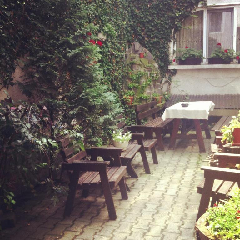 Bed and Breakfast Vila Monica à Târgu-Mureş Extérieur photo